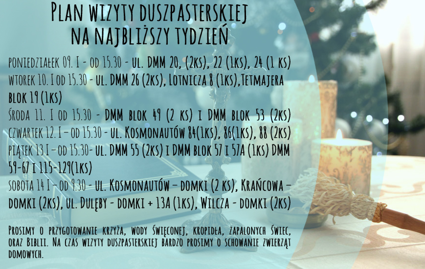 Wizyta